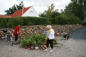 Havelauget Havelauget