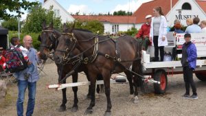 Gratis hestevvognstur